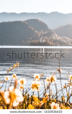These pictures were taken in Slovenia
Wonderful place, time, lake and island.
In Bled.