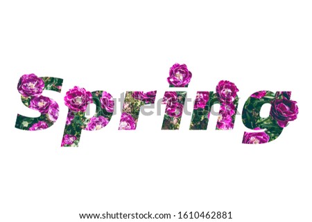 Spring lettering word made of tulip flowers on isolated white background.