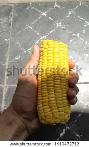 A hand that is holding sweet corn against the background of the floor of the house. abstract photo illustrations