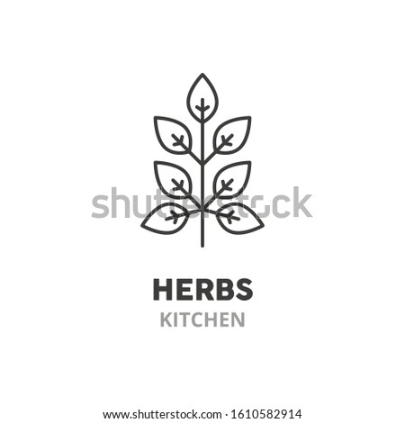 Leaves, seasoning  thin line icon. Kitchen herbs symbol, vector illustration, isolated on white background. 