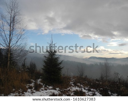 fog in the mountains, Carpathian forest, resort in Bukovel