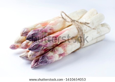 Raw white Asparagus with violet head as bunch on white background with copy space - isolated