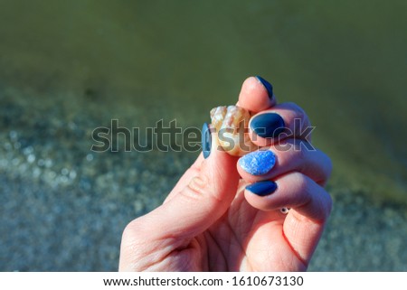seashell in hand on a background of water