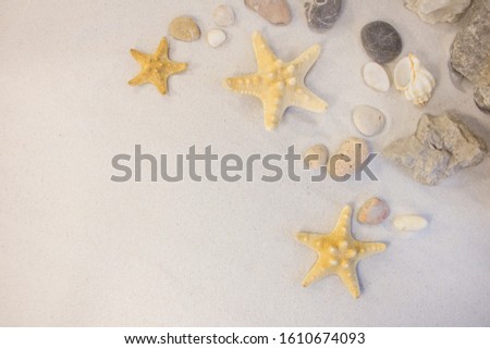 Beach sand with starfish and stones