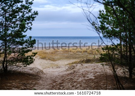empty sea beach in autumn with some bushes and dry grass. water in perspective