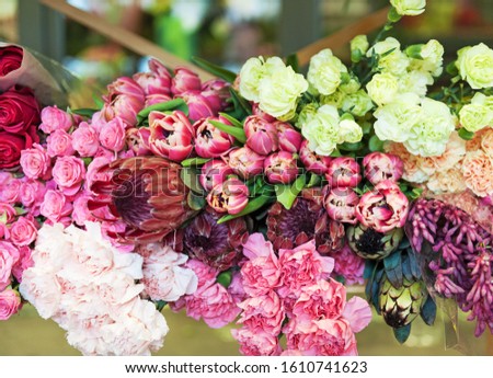 Beautiful variety of flowers on shelves in a flower shop