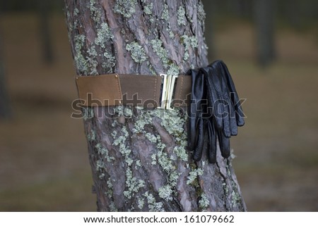 Leather belt and gloves round a tree in the woods. Waist silhouette