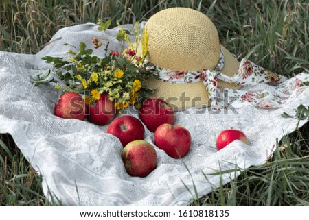Picnic in the Park on the green grass with apples, flowers, heat, picnic blanket. Apple picking season