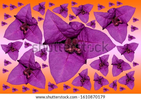 Wallpaper image of purple flowers of many sizes
