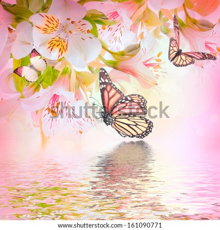 Beautiful flower and butterfly, blured and colored