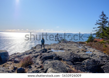 A woman looks out into a vast ocean Royalty-Free Stock Photo #1610926009
