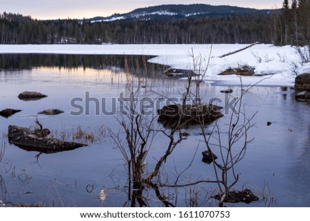 Little stream down to a lake with ice and stones and a bush in foreground and forest and mountain in background, picture from Northern Sweden.