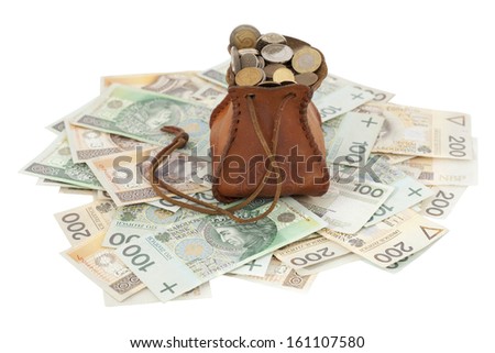 full money-bag with coins on banknotes
