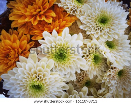 a bunch of mustard and white flowers