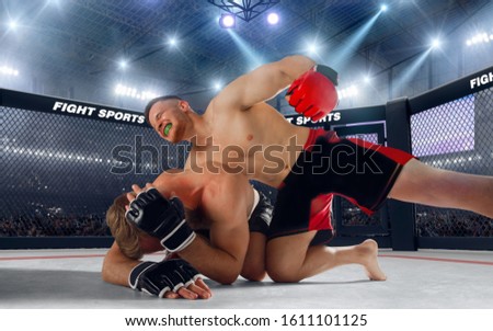 MMA fighters on professional ring. Fighting Championship.