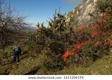 fire in thickets of green mountains to avoid uncontrolled forest fires in Asturias