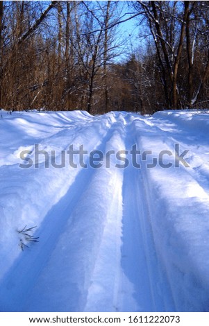 Close-up of a ski track in a winter snowy park