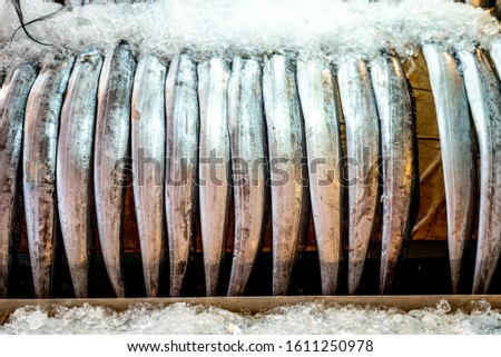 cutlassfish fish in the traditional Korean market. Royalty-Free Stock Photo #1611250978
