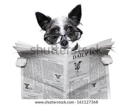 dog reading and holding a blank newspaper