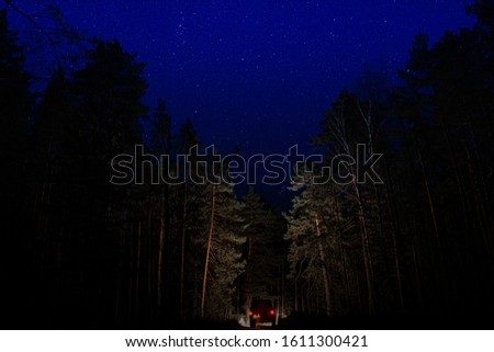 Night starry sky over the forest