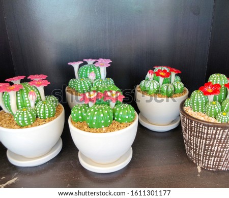Colorful artificial cactus flower in pot for sale at the tree market.