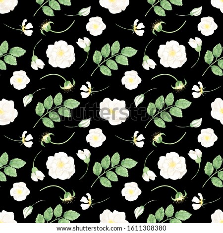 Seamless pattern wild rose white flowers watercolor 