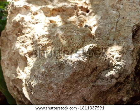 Close-up White Stones Texture and Background. Rock Texture