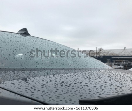 Raindrops on the trunk and window