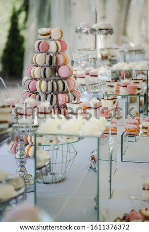 Details of a festival catering: fruits, cupcakes and cake. Beautifully decorated table. Delicious candy bar at the wedding ceremony close up
