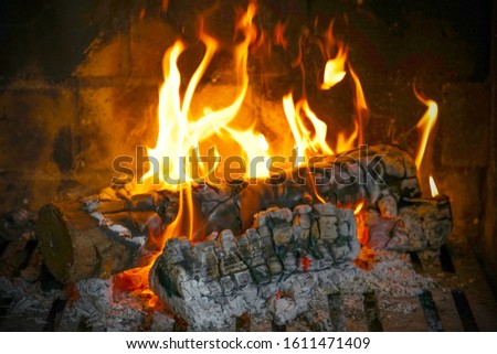 Burning firewood in the fireplace close-up. Close-up with burning logs and vivid burning orange and yellow flames. Flames crawl up the side of a piece of firewood in an open campfire.