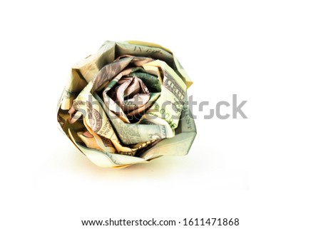 Rose from dollar bills isolated on a white background. Flower of money