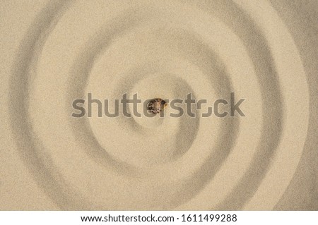 Esotericism sand spiral and snail shell Royalty-Free Stock Photo #1611499288