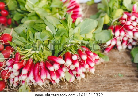Fresh raw organic uncooked red radishes vegetables with leaves for sale at local farmers market or shop. Vegan food and healthy nutrition concept. Stock photo radish on wooden background.