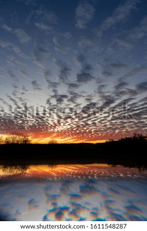 Impressive sunset with spectacular clouds lit by the orange light of sunset on a blue sky and silhouettes of trees with a reflection of the scene at the bottom of the picture