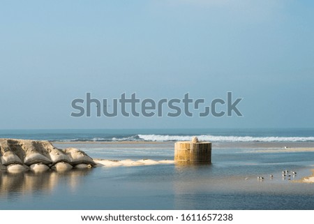 seagulls on the beach of Esmoriz in Portugal