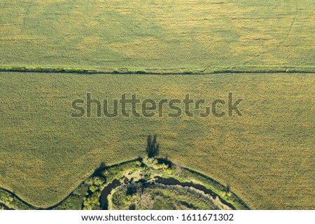 farm field, view from above