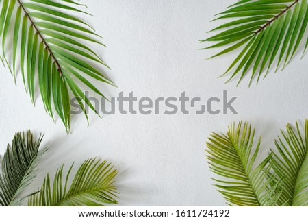 Tropical bright colorful background with exotic tropical palm leaves. Minimal creative summer concept. Flat lay.