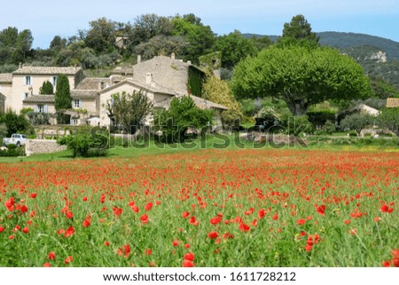 Poppies fild on the south of France