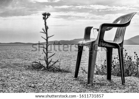 A greyscale of a plastic chair surrounded by pants with the sea and hills on the background