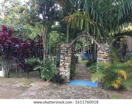 stone arch with vegetation around
