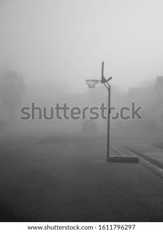 
The basketball ring in the sidewalk one foggy morning.