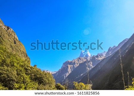 Vivid scenery of forest freshness. Rich greenery along the mountain valley. Atmospheric green forest landscape.