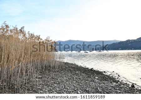 lake in winter, photo as a background