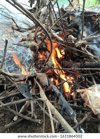 picture of fire burning trash dry leaves
