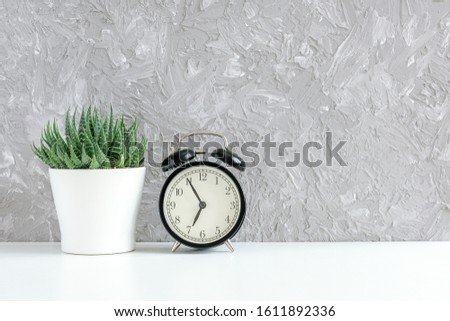 Black alarm clock and green succulent in white pot on table on background of gray concrete wall. It`s five to seven a.m Concept good morning Copy space.