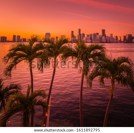 palms tree city miami sea beach sky sunset tropical sunrise nature sun island ocean orange