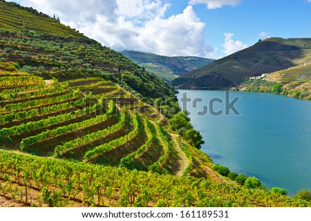 Vineyards in the Valley of the River Douro, Portugal Royalty-Free Stock Photo #161189531