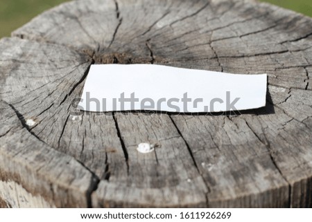 sheet of paper on tree stump