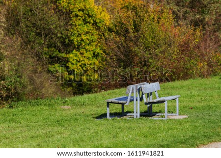 Two empty benches on a green lawn opposite the forest, loneliness, thoughtfulness, love concept