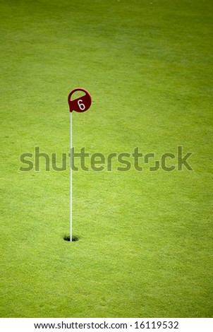 golf playground with a flag